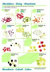 robot-coupe-27113-food-processor-disc-plate-dicing-specsheet-250814bvq55p.pdf
